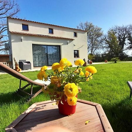 Villa Sandrine, Confortable Et Cosy Proche D'Aix En Provence Meyrargues Экстерьер фото